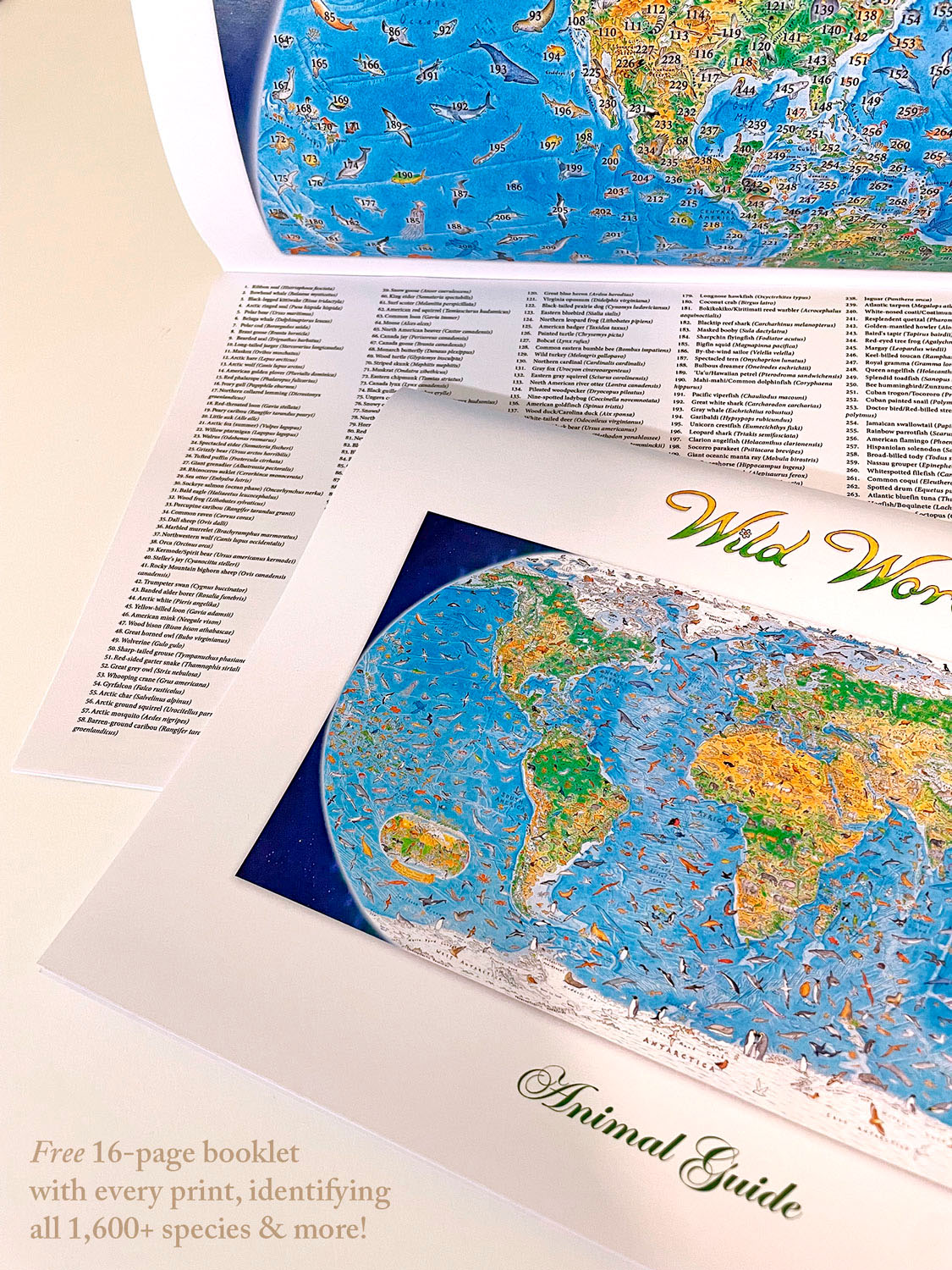 A list of animals contained in the Wild World Map by Anton Thomas