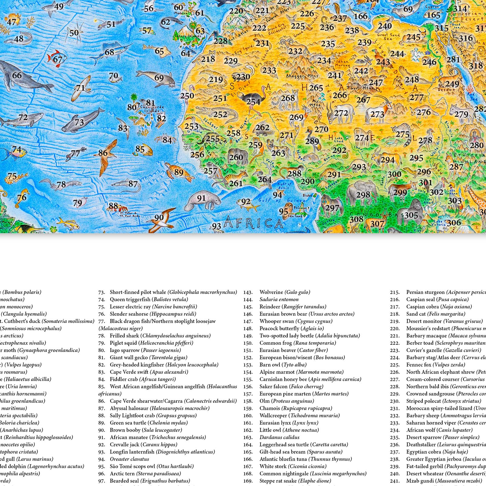 An Africa portion of the Wild World map by Anton Thomas with animals and a list  with the names of each animal
