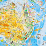 Wild World: Australasia