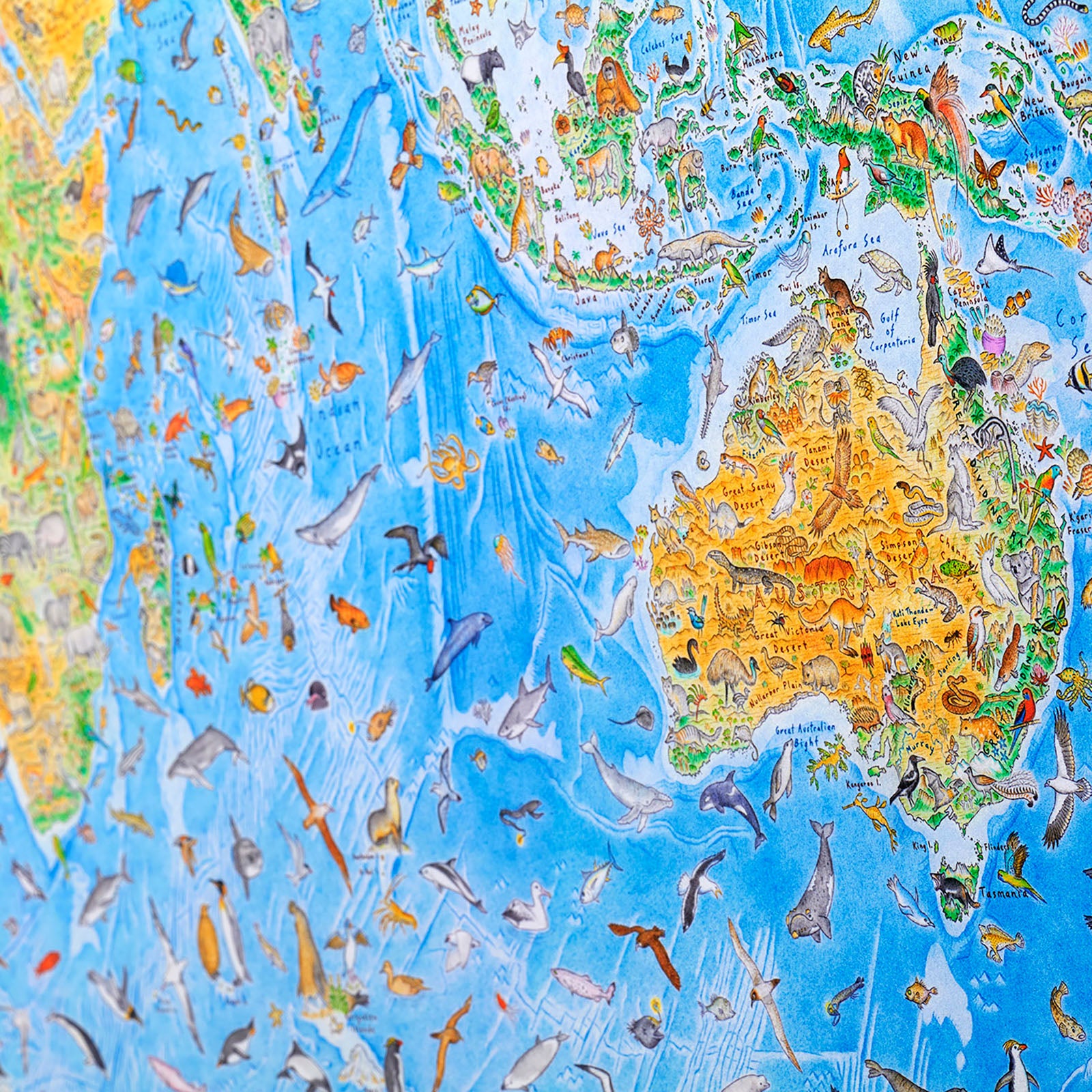 Australia and South East Asia parts of Wild World Map by Anton Thomas containing endemic animal species to these regions