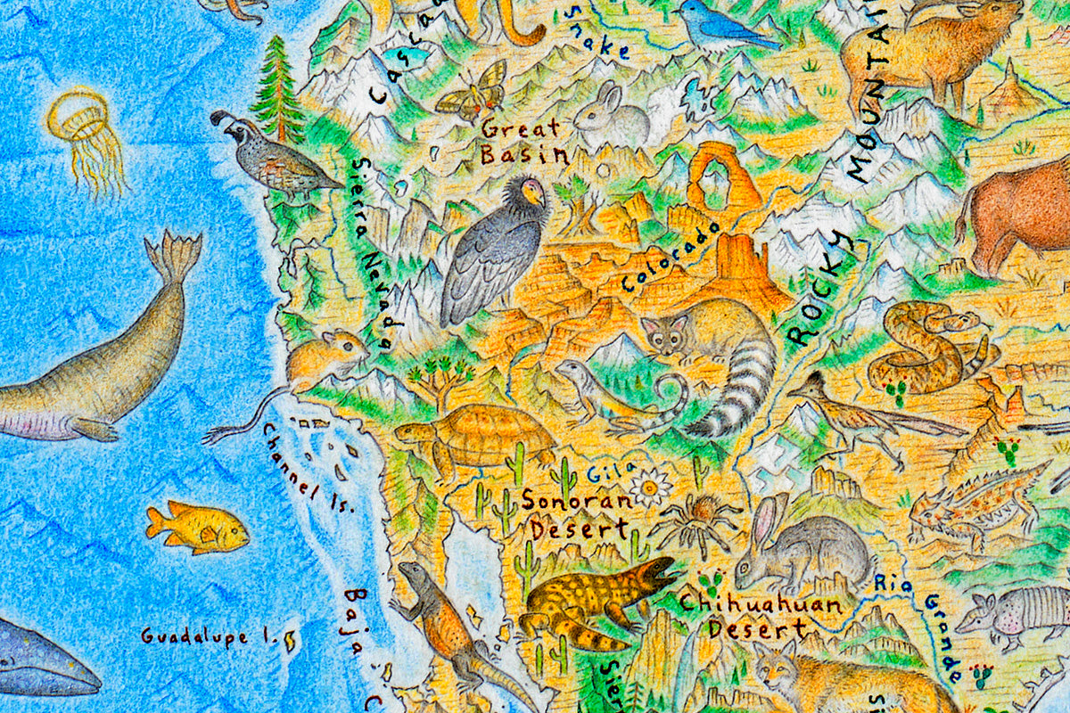 Hand-Drawn Maps – Prints of Wild World, North America & More