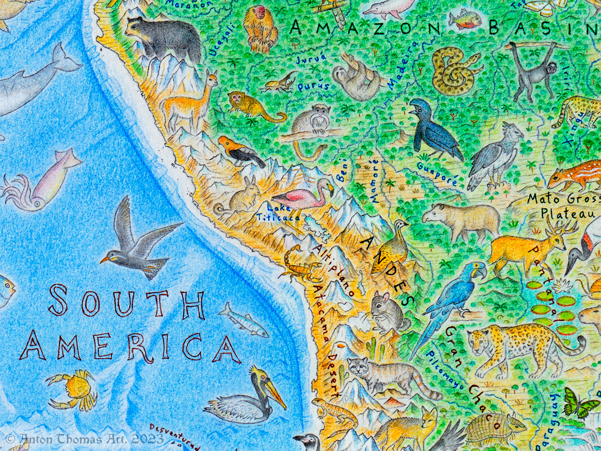 A map of South America with wild animals drawn on it. Especially showing Peru, Bolivia, Paraguay, and the southern Amazon.