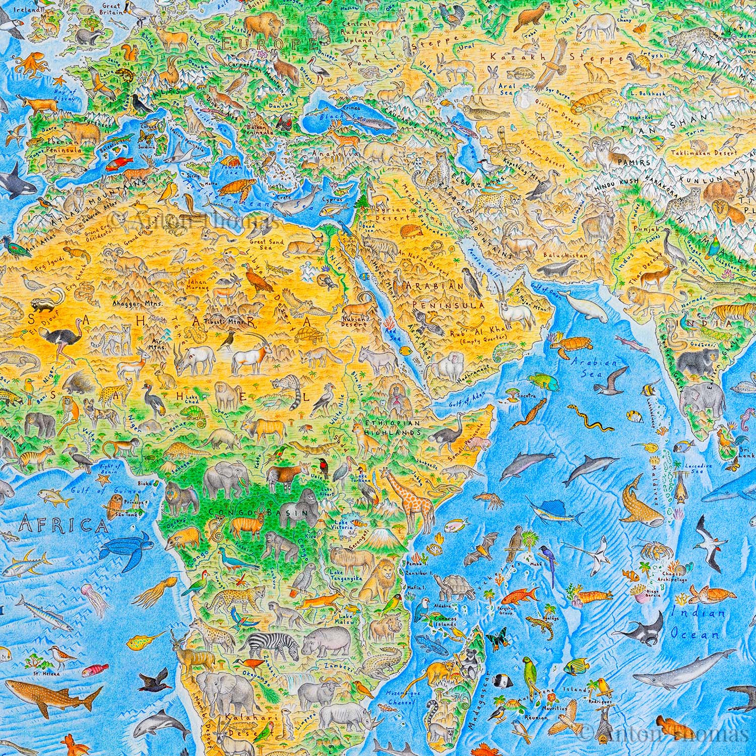 Africa, Europe and Asia section of Wild World Map by Anton Thomas containing endemic animals of this region