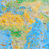 Africa, Europe and Asia section of Wild World Map by Anton Thomas containing endemic animals of this region