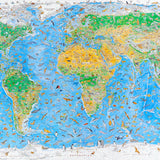 Wild World Map illustrated by Anton Thomas containing 1,642 endemic animal species. A completely hand drawn map that took 3 years.