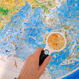 Wild World – Poster Print