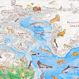 Wild World: North America