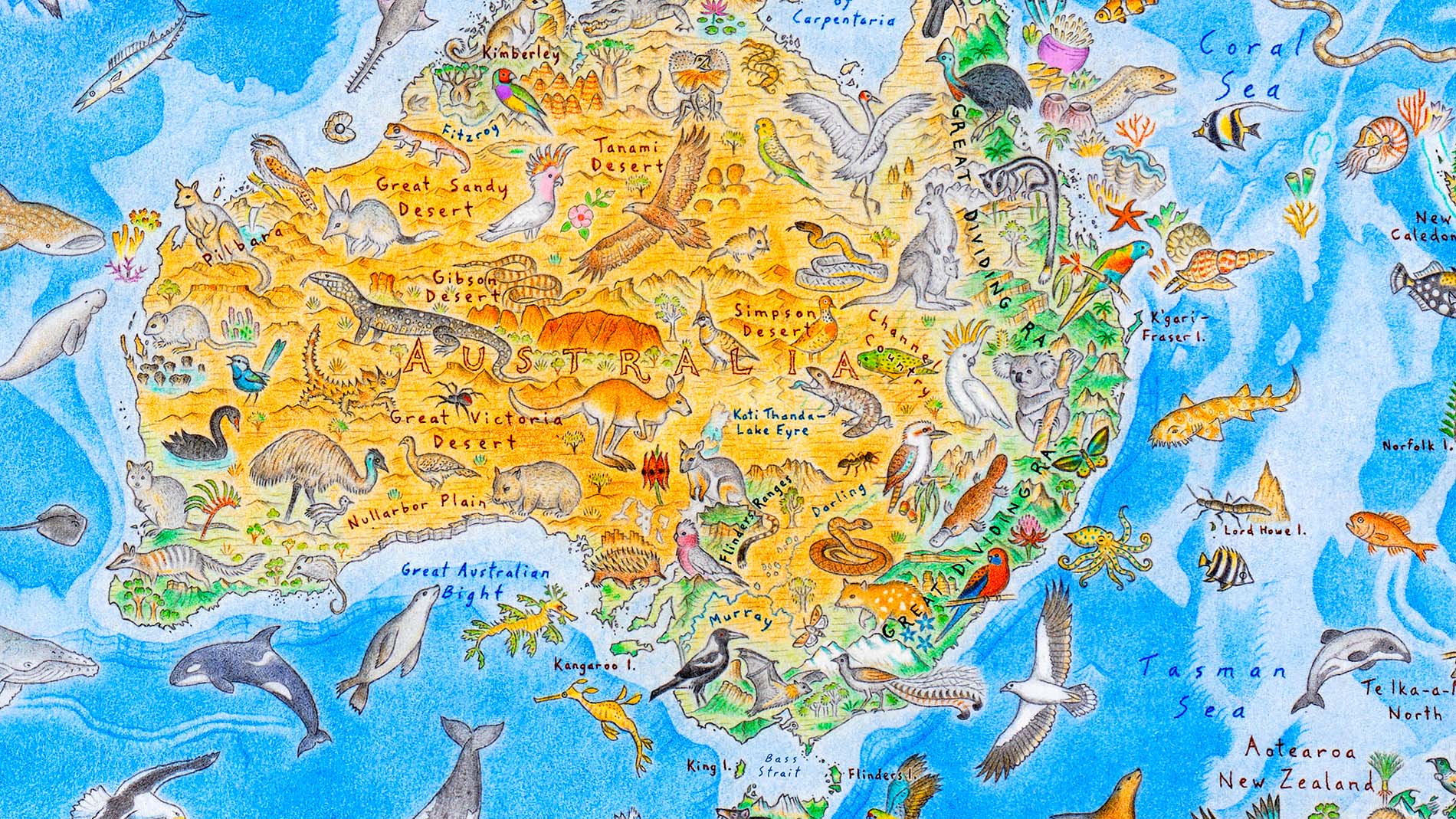 Landscape and Flora Guides – Wild World Map – Anton Thomas Art