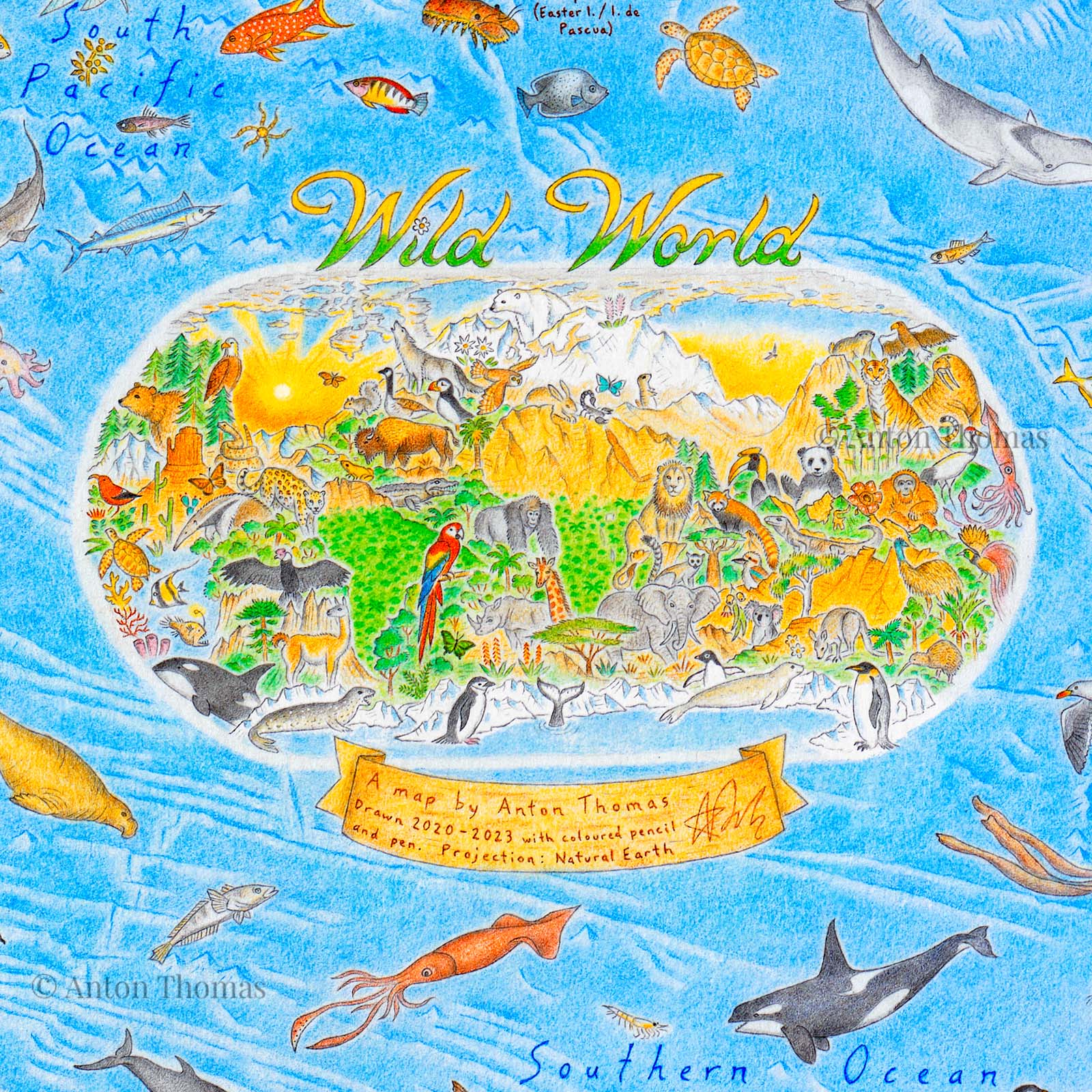Pomegranate Puzzle Mappa Del Mondo 1500 Pezzi - Wild World Di Anton Thomas, Finitura Opaca, 99x50,8 Cm