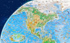 Wild World: North America